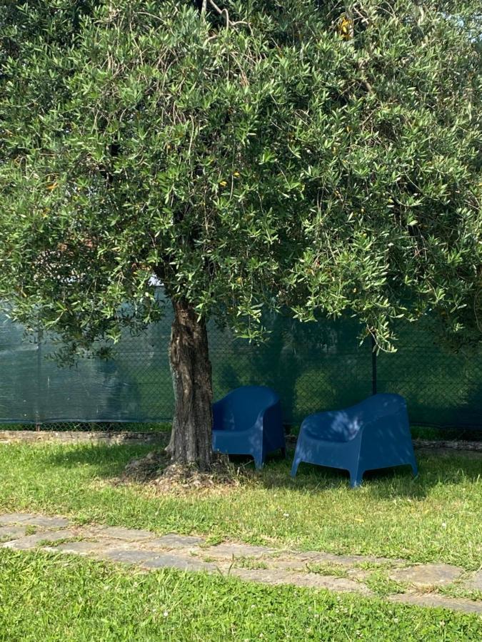 Willa Casa Marcobando Lukka Zewnętrze zdjęcie