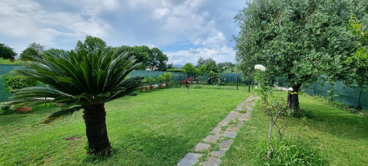 Willa Casa Marcobando Lukka Zewnętrze zdjęcie