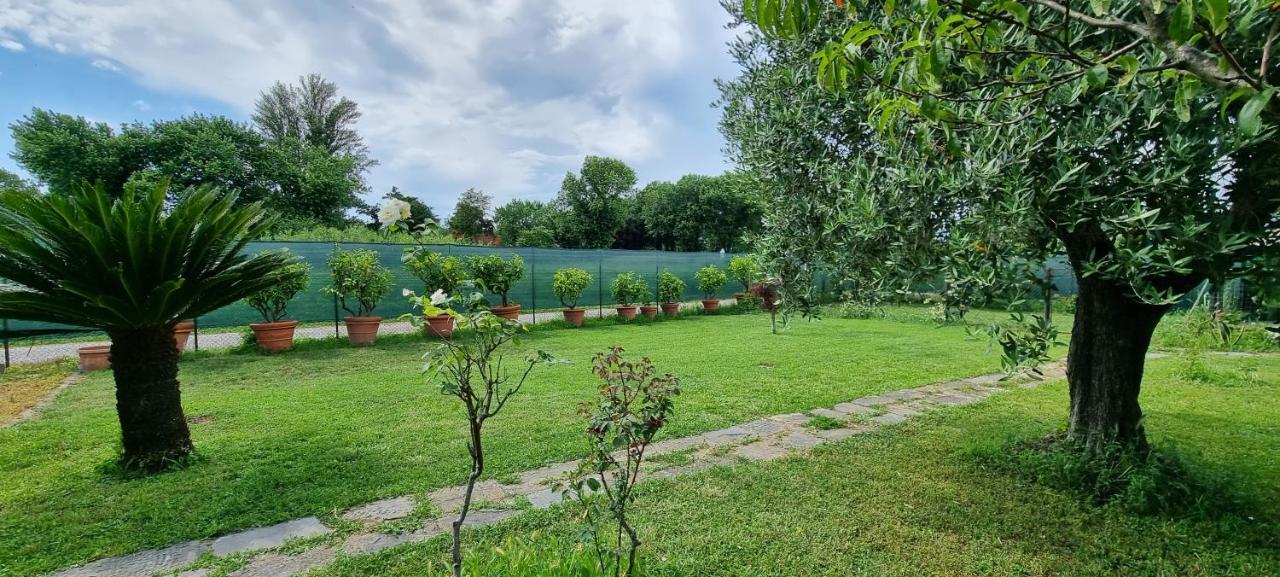 Willa Casa Marcobando Lukka Zewnętrze zdjęcie